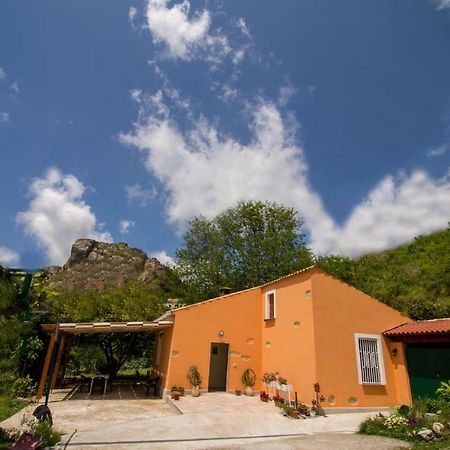 B&B Casa Vacanze Benvenuti Al Sud Aiello Calabro Extérieur photo