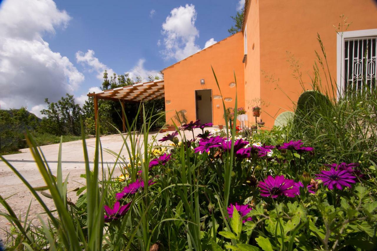 B&B Casa Vacanze Benvenuti Al Sud Aiello Calabro Extérieur photo